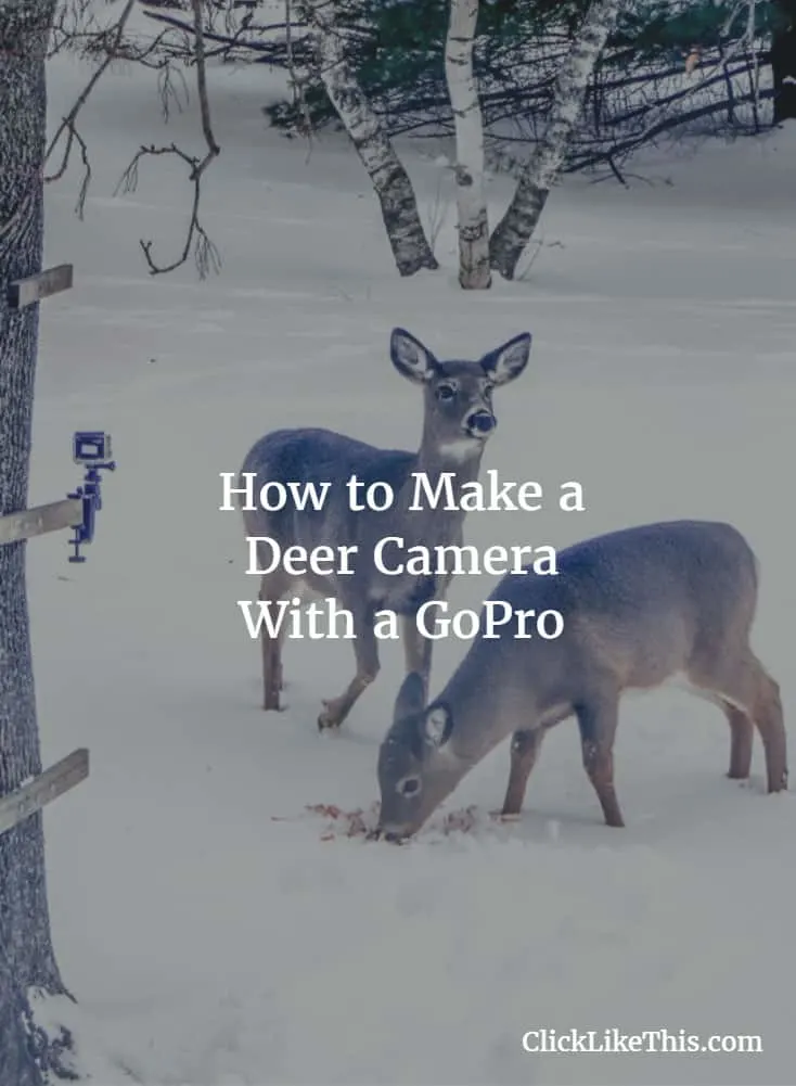Make-a-deer-camera-with-a-gopro
