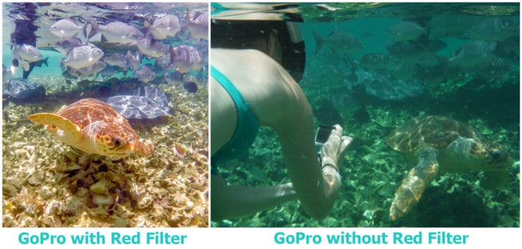 GoPro red filter comparison while snorkeling 