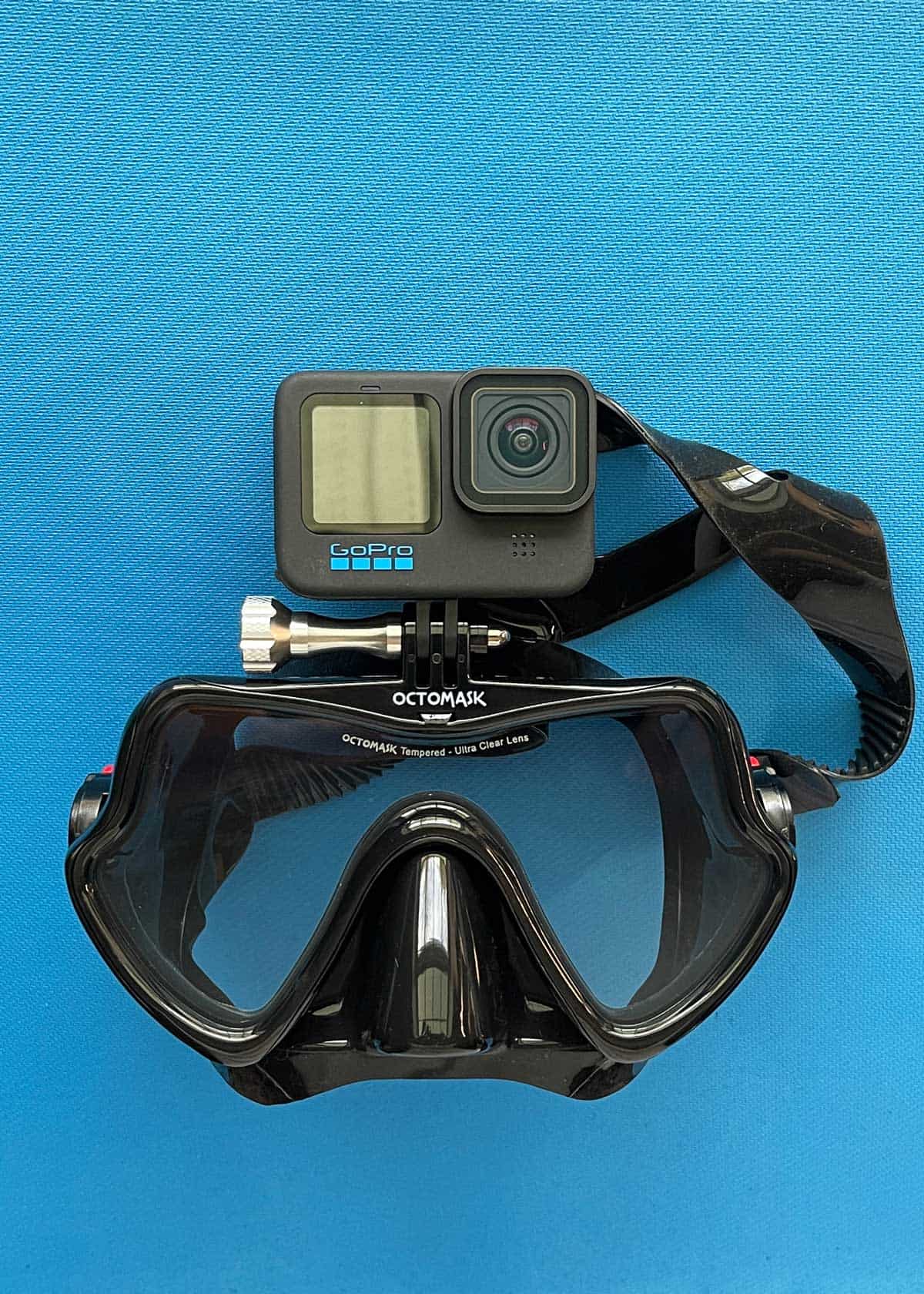 dive mask with gopro mount