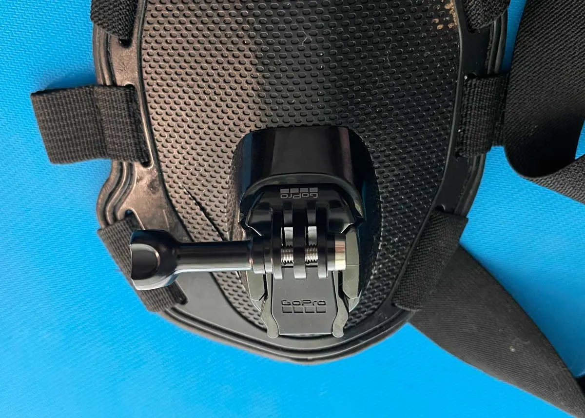 gopro dog harness mounting system